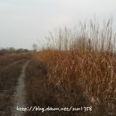 당거리농장 이미지