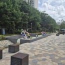 공간동백 이미지