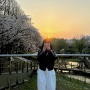 반월놀이공원 이미지