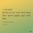 해일카 이미지