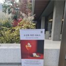 달빛케이크 티스토리