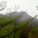 2006년5월10일 희양산. 봉암사 5월5일 부처님 오신날/일년에 한번 산문을 여는곳 이미지