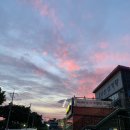 주왕산 삼계탕(현풍점) | [현풍] 믿고 먹는 “주왕산 삼계탕” 내돈내산 리얼후기