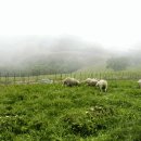 목동목장 이미지