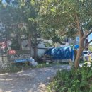 코스트밸리펜션 이미지