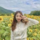 GS25 논공남리점 | 논공해바라기 논공삼거리 :: #위치 #주차장 정보 (포토존 다 모았다!)