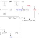 내가 본 화랑세기 이미지