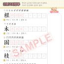 기초튼튼 한자공부 이미지
