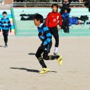 금정초등학교 Daum카페