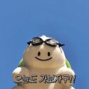 수원-1486 이미지