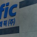 에스.에스 소프트(S.S 소프트) 이미지