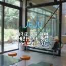 제주 중문 감성 카페 추천｜테라로사 에코라운지, 미술관 같은 공간