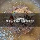 궁뜰메밀