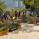 양동주민자치센터 이미지