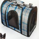 대중도기 이미지