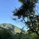 홍천밧데리 | [홍천 캠핑] 🏕️ 홍천 검산별빛캠핑장 후기 (사이트 A5)