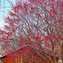 동춘당공원 이미지