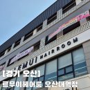 헤어크리닉 | 수청동미용실 르무이헤어룸 오산대역점 헤어크리닉 후기 (오산미용실 추천)