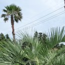 펜션 153 이미지