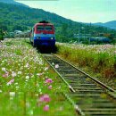 의흥중학교 이미지