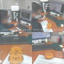 코레일로지스 부산지점 네이버블로그