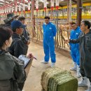 축산클럽 이미지