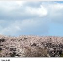 부여목장 이미지