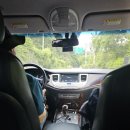 솔향기약국 이미지