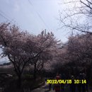창녕 사리 지석묘 Daum카페