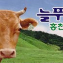 홍천축산물