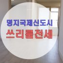 메트로명지공인중개사사무소 네이버블로그