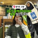 몽벨 일산드포레 2025 블랙프라이데이 방문 할인 득템 후기