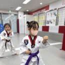 1등 경희대 태권도장 | [마곡 태권도] 유치부 태권도 체험 수업 후기 경희대효태권도장