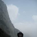 텐산 Daum카페