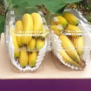 제이디팜 이미지