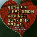 임마누엘번역