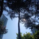칠보산아래공인중개사사무소 | 율전동에서 하늘을 가장 예쁘게 보는 시간 ㅣ밤꽃마을뜨란채(밤꽃마을뜨란채아파트)