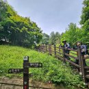 경북 문경시 오정산(810m)의 토끼가 알려준 산길위에서 삼태극의 기운은 오묘하더라~.. 이미지