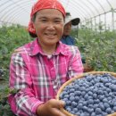 해남슈퍼 이미지