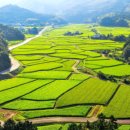 토지농장 이미지