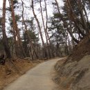 천연머리염색 이미지