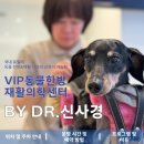 Dr. dog 동물영상의료센터 | 체계적인 노견 건강 관리 VIP동물한방재활의학센터 by Dr. 신사경