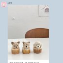 스윗댕(sweet daeng) 이미지