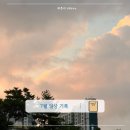 (주)가나이십사시동물병원 | 7월의 일상기록