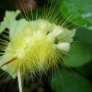 말기암치료법-암자연치료법-암간단하게 고치는방법-암치료제-항암제로 살해당하다-암 간단하게 고치는 방법 자연치유 이미지