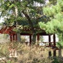 농선농장 이미지