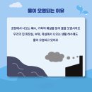 환경이야기