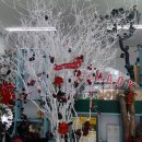 더아름다운약국 이미지