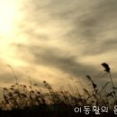 포레스텔라 / 바람의 노래 ＜조용필＞ : 김순곤 작사, 김정욱 작곡 이미지