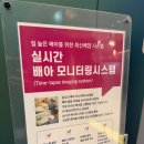 치피치피 | 난자채취 1차 후기 수면마취 통증 수술실 회복 난자채취 후 음식